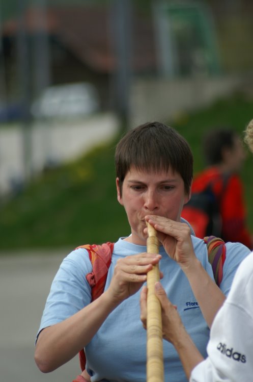 2008/1000/PICT5921.jpg