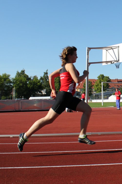2011/400/095_M6146.jpg